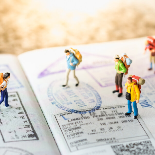 Immigration law